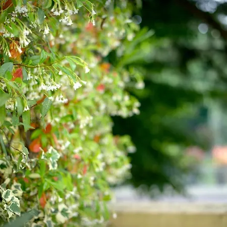 Terme Preistoriche Resort & Spa 4* Montegrotto Terme