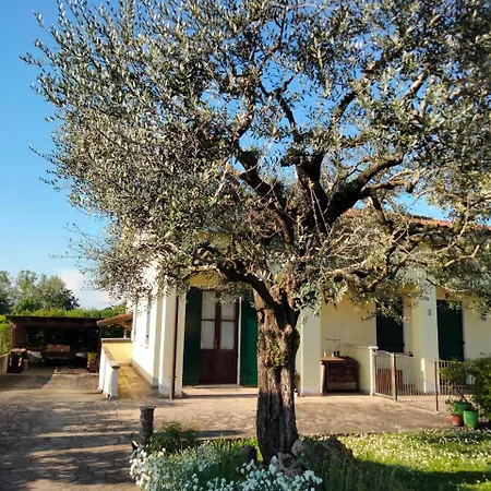Apartment Casa Sandra