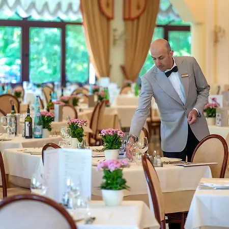 Hotel Apollo Terme Hotel Montegrotto Terme