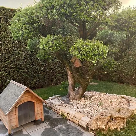 Couette-café Wooden House *