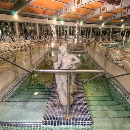 Hotel Petrarca Terme 4*