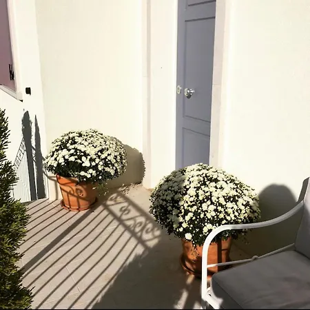 Apartment Festinalente