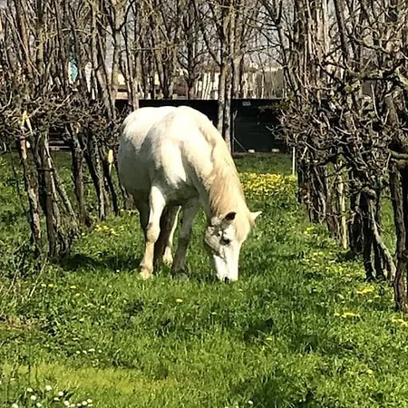 Casetta Di Campagna Ferienhaus *