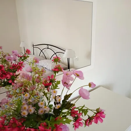 Appartement Domus Anna