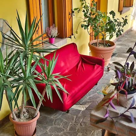 Apartment Casa Algisa