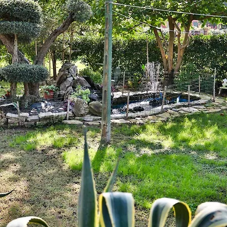 Casa Algisa Apartment Montegrotto Terme