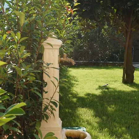 Apartment Camagnolia